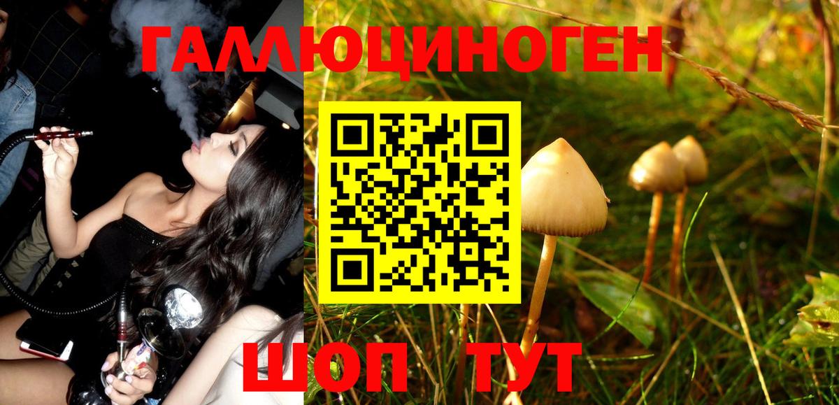 Галлюциногенные грибы GOLDEN TEACHER Видное