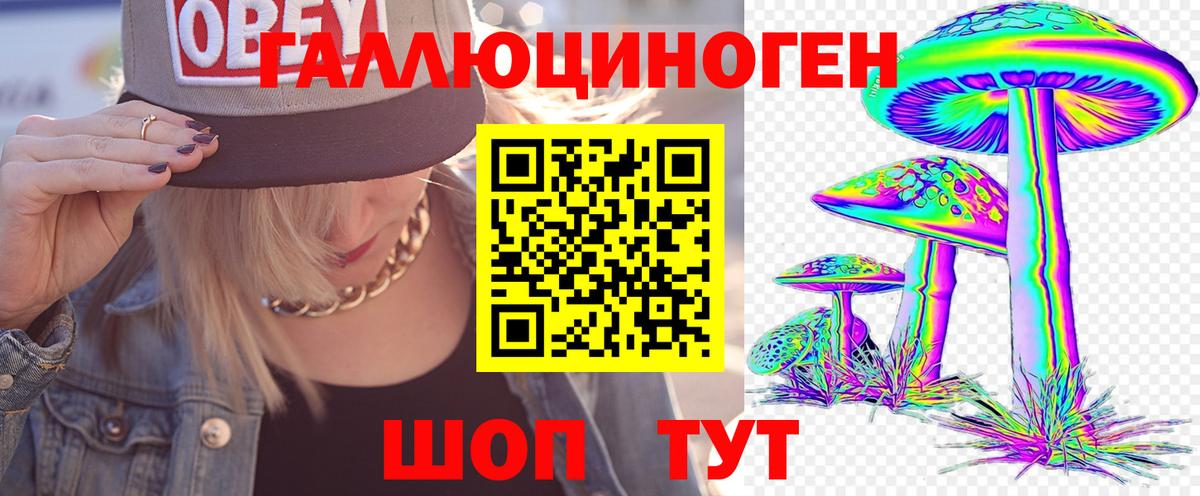 Видное  Псилоцибиновые грибы Psilocybine cubensis  Псилоцибиновые грибы MAGIC MUSHROOMS  Вход с VPN 